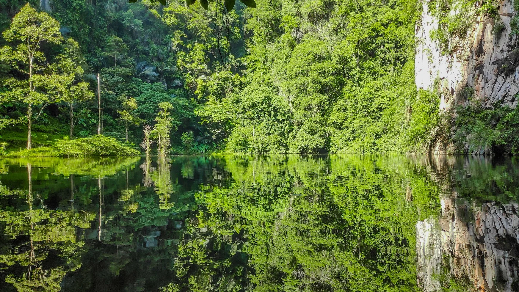 tasik c
